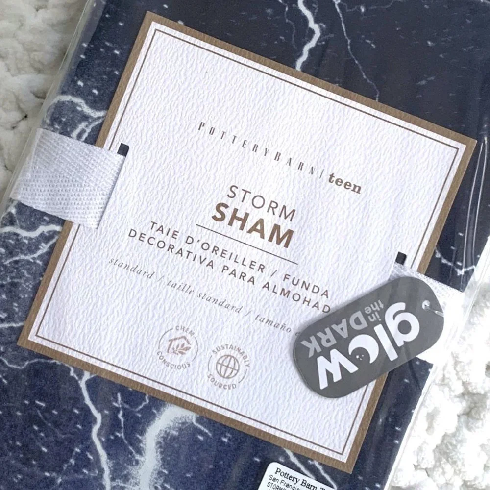 NWT 1x Pottery Barn Storm Glow-in-the-Dark Pillow Sham (Blue)